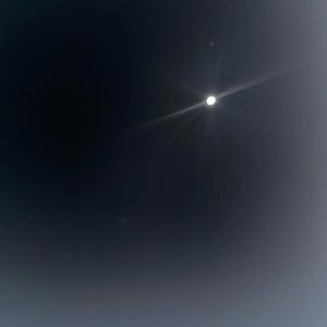 Meet your Posher, Hazel